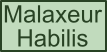 Malaxeur (Habilis)