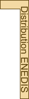 Distribution ENEDIS